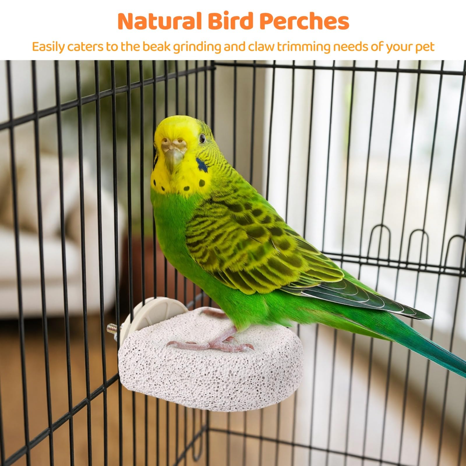 8 Stück Vogelstangen, Kreative Eis am Stiel Vogelständer, Vogel Schnabel Schleifsteine, Fußklauentrimmer, Natürliches Kauspielzeug für Kleinvögel, Wellensittiche, Nymphensittiche, Unzertrennliche