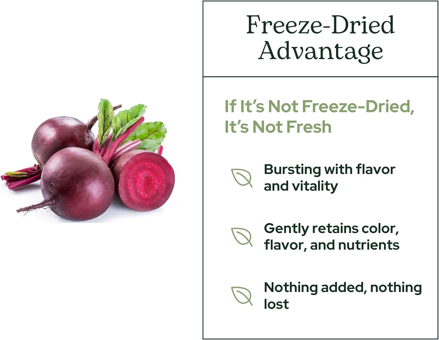 ECLECTIC INSTITUTE Raw Fresh Freeze-Dried Beet Juice Powder | 3.2 oz