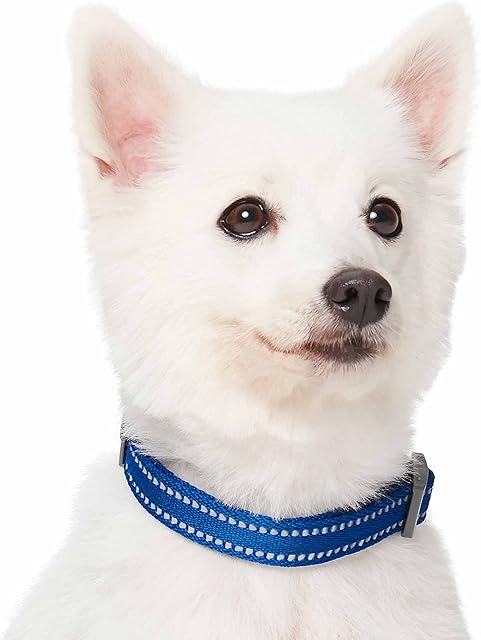 Amazon Brand - Umi Pastel Color Reflective Dog Collar in Navy, Medium, Neck 37cm-50cm, Adjustable Collars for Dogs