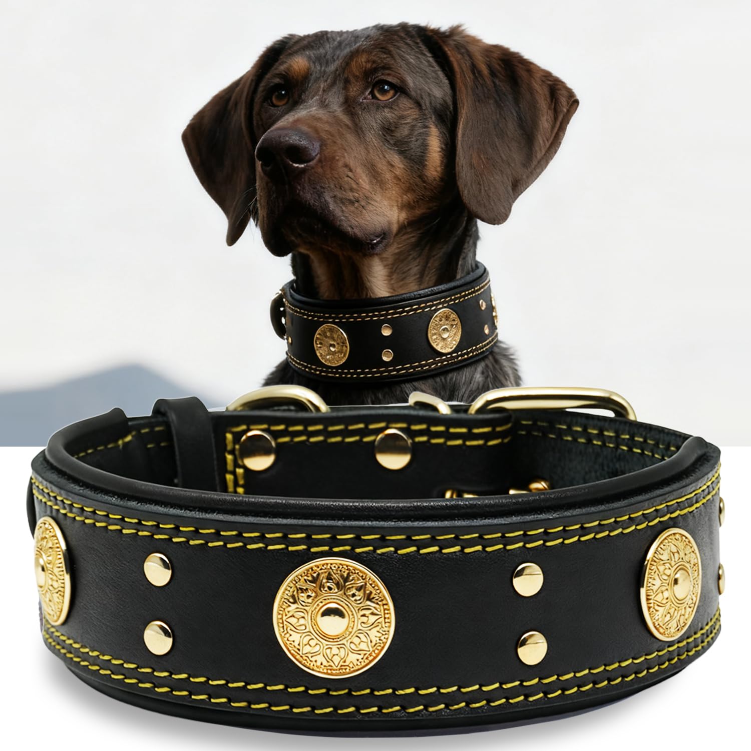 PP COLOR Leather Dog Collar