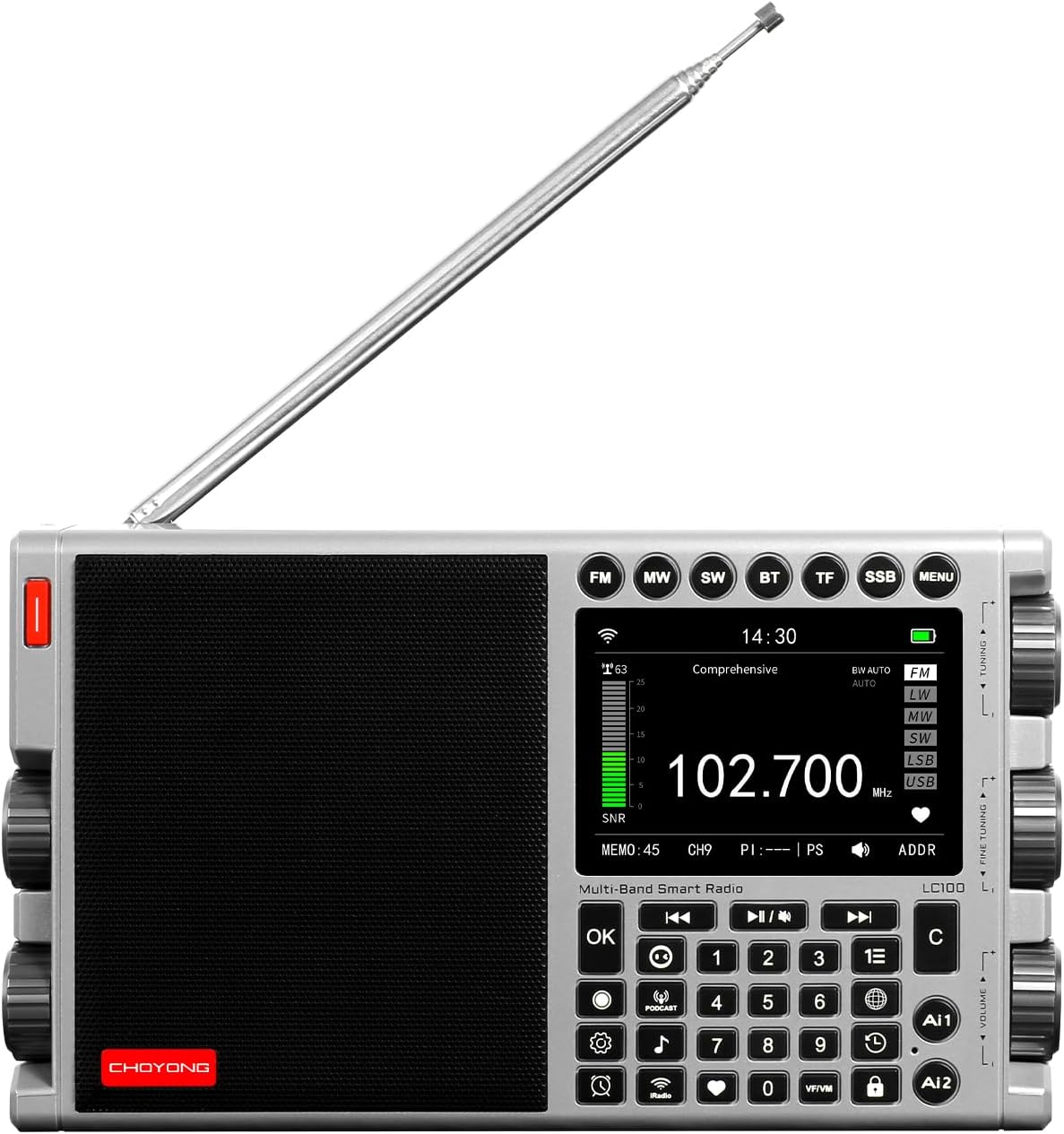 CHOYONG LC100 Multi-Band Smart Internet Radio,WiFi/4G,AM/FM/MW/SW (Silver)