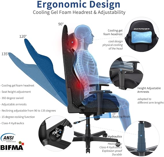 DXRacer Formula Gaming Chair - Ergonomic Chair for Computer and Video Game, Memory Foam Headrest, Lumbar Support, Water-Resistant Fabric, Black