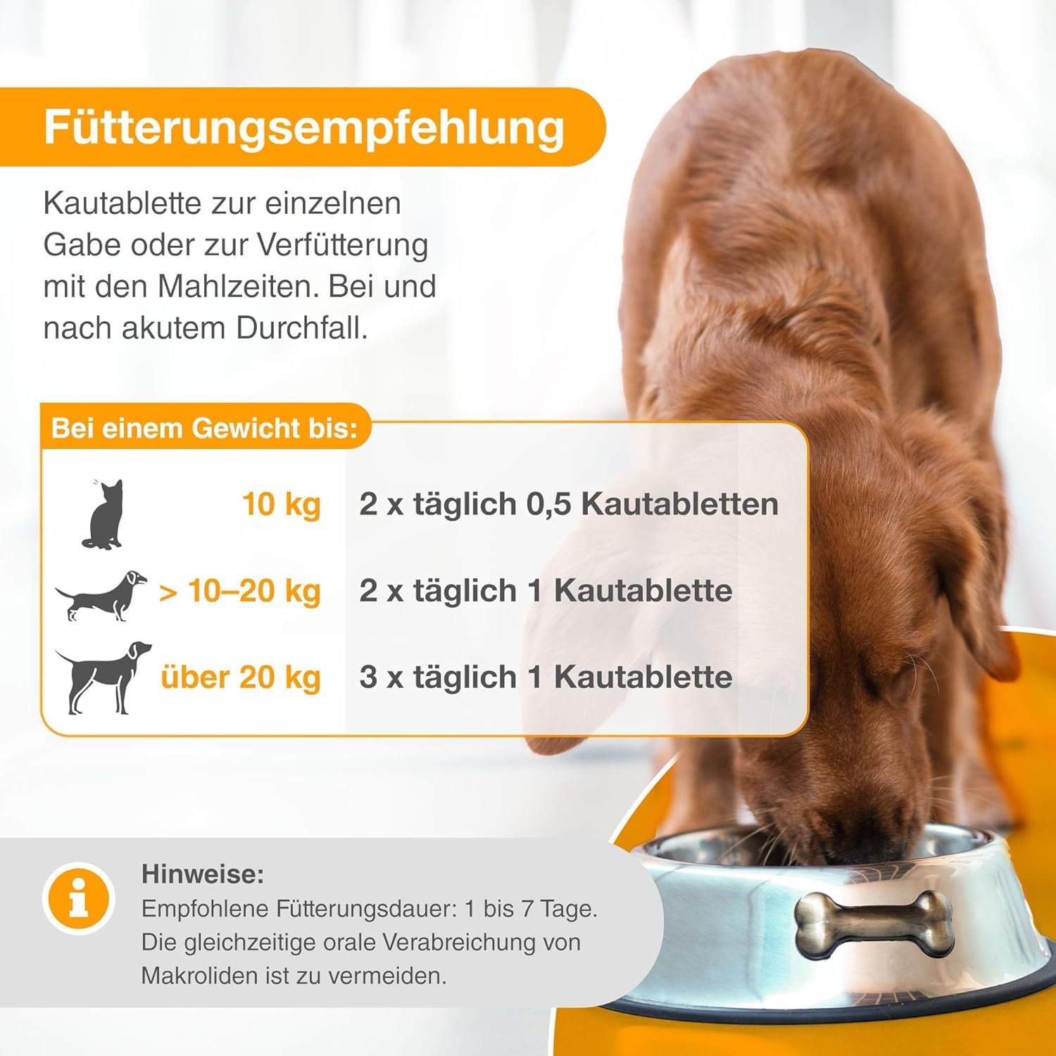 alfavet Dia Tab, complément Alimentaire diététique pour Chiens et Chats, comprimés à mâcher Contre la diarrhée et Les vomissements, 6 x 5,5 g