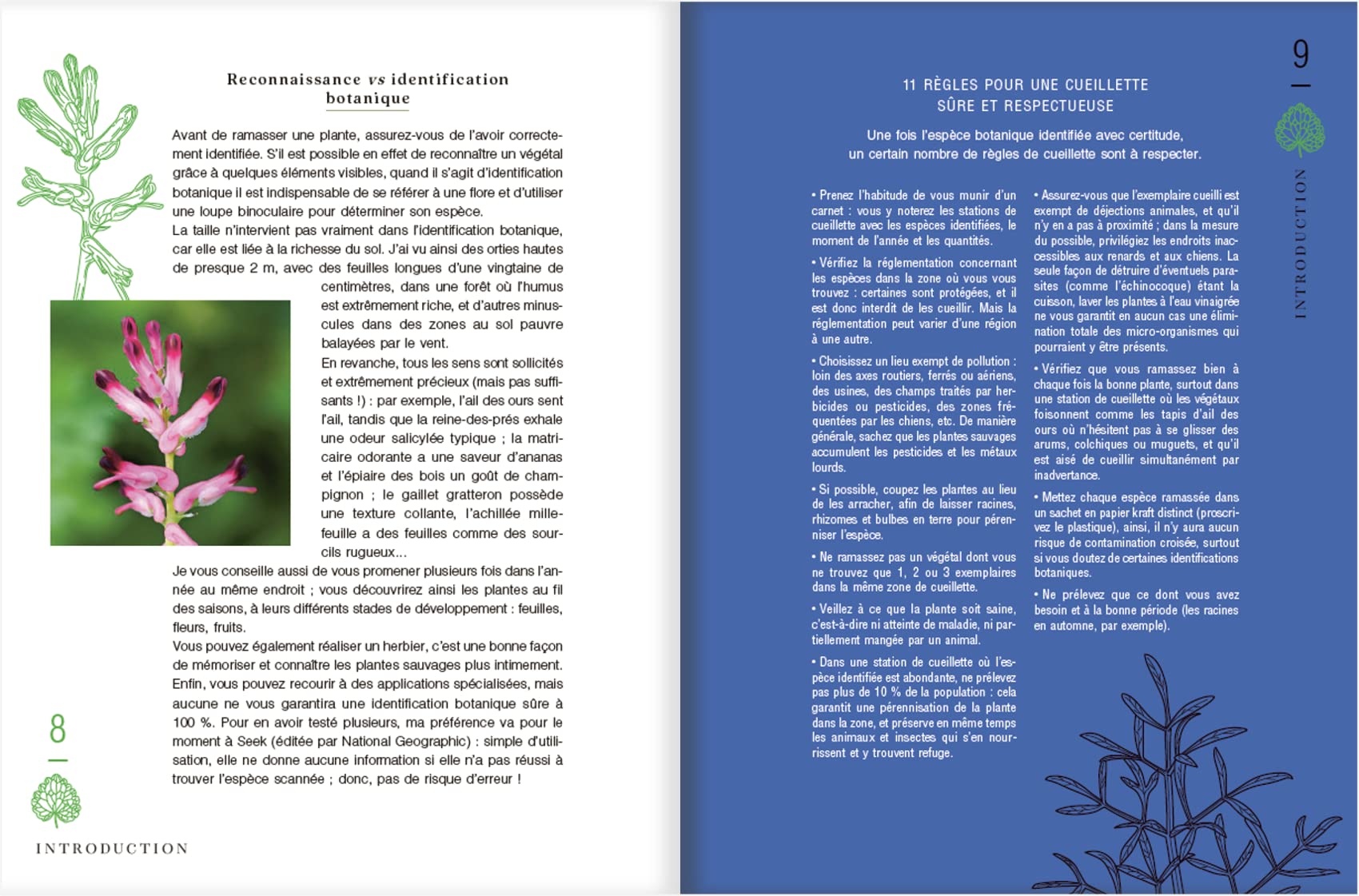 Le guide des plantes sauvages. 100 plantes essentielles aux vertus bienfaisantes - Identification, cueillette, préparation, conservation, propriétés ... plantes essentielles aux vertus bienfaisantes
