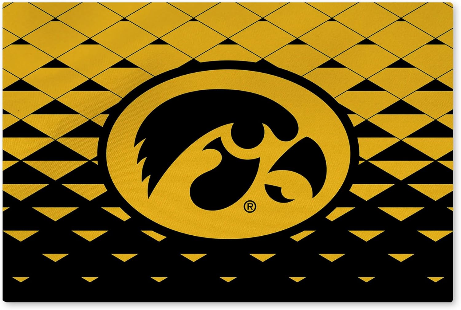 Northwest NCAA Iowa Hawkeyes, Washable Rug, 20 x 32 Inches, Dropzone