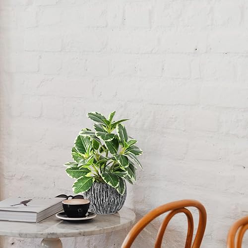 Miniatura 7 de Plantas artificiales para interiores y exteriores, planta de hoja de roble abigarrada sintética, plantas falsas en maceta, decoración artificial