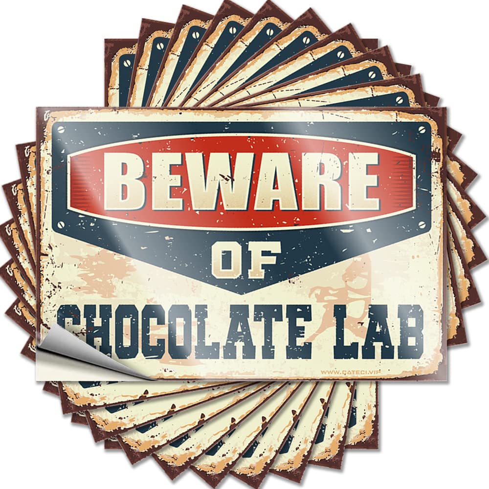 Fzfn Colour Beware Of Chocolate Lab Bottle Funny - Beer Decals Self Adhesive Sticker(8X12cm)