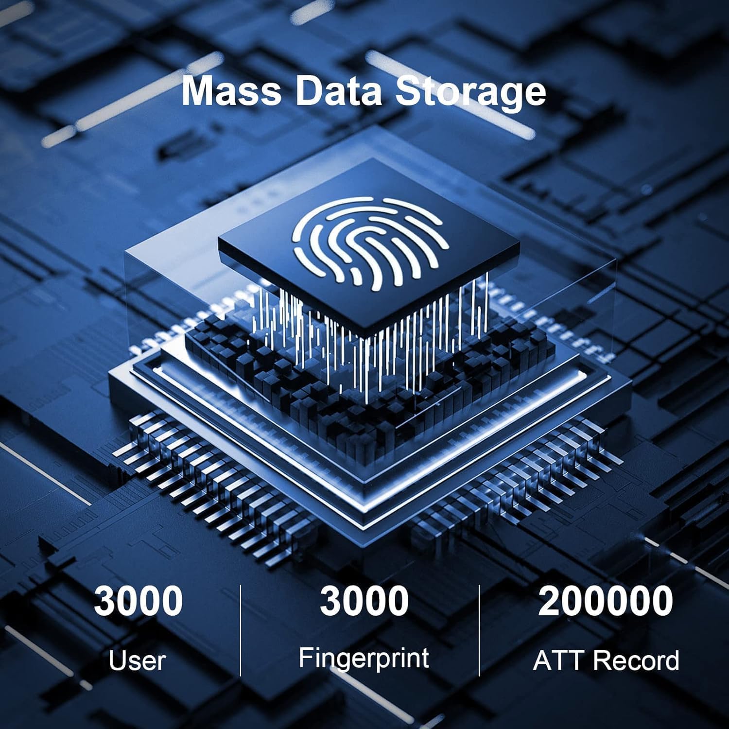 Mass Data Storage