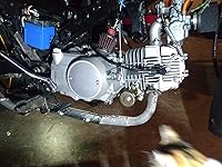 Review Image by Dino M Dino M