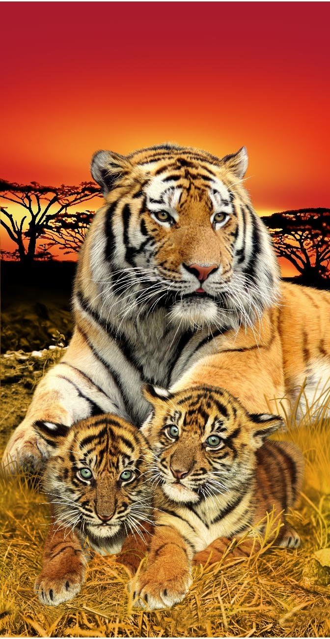 Bengal Towels Tiger Family Life of Pi Wonder Beach Towel 6836