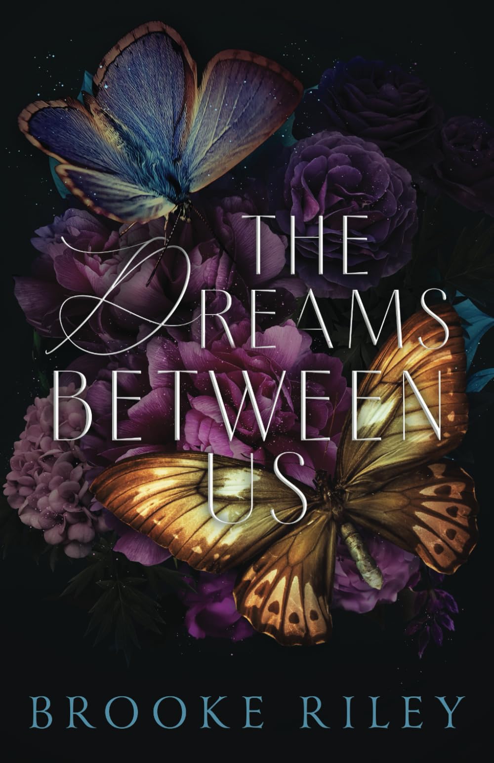 The Dreams Between Us