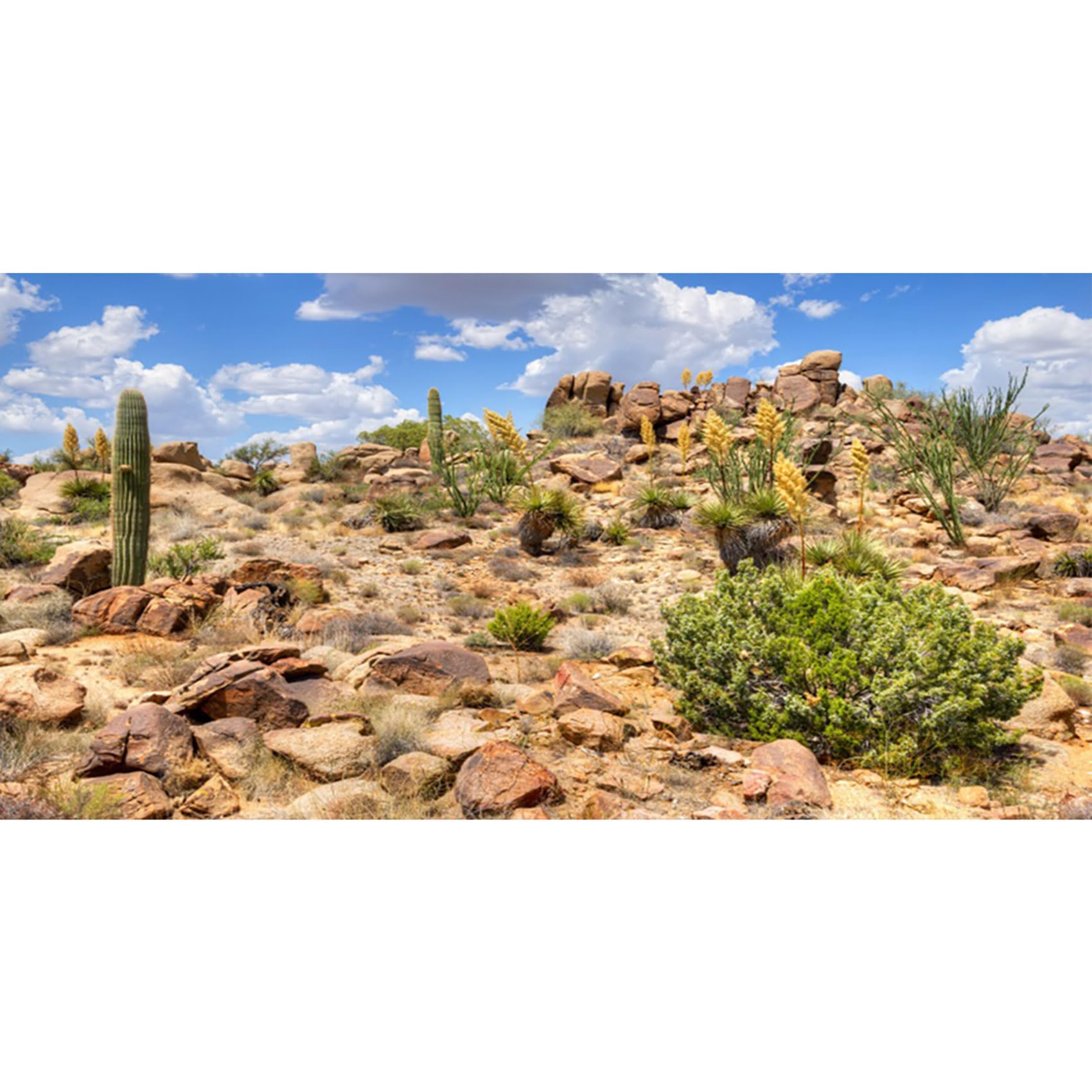 MIRRORANG 180x61m Desert Habitat Reptile Terrarium Aquarium Background Fish Tank Background Bearded Dragon Vivarium Background Vinyl