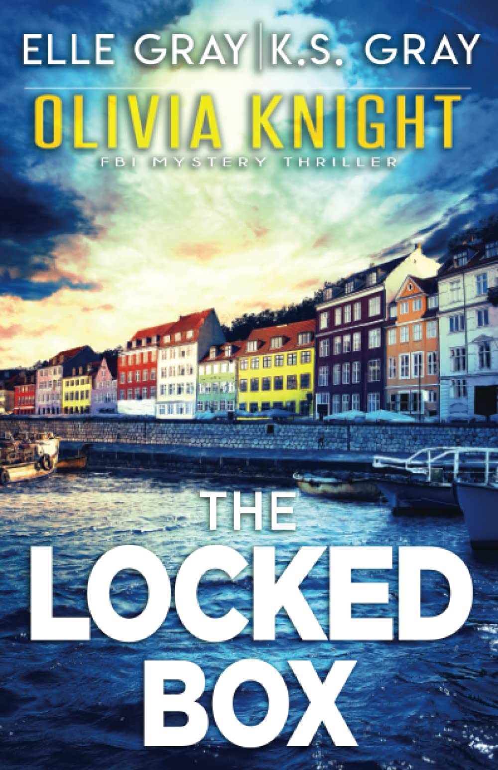The Locked Box: 6 (Olivia Knight FBI Mystery Thriller)