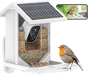 Kidken Mangeoire Pour Oiseaux, Avec Caméra, Enregistrement Vidéo