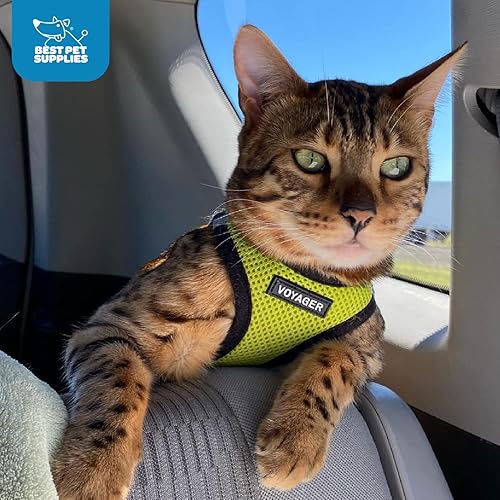 Vista 151 de Best Pet Supplies Voyager Step-in Air - Arnés de malla para todo tipo de clima, reflectante, antitirones, para perro y gato pequeño y mediano, Arnés