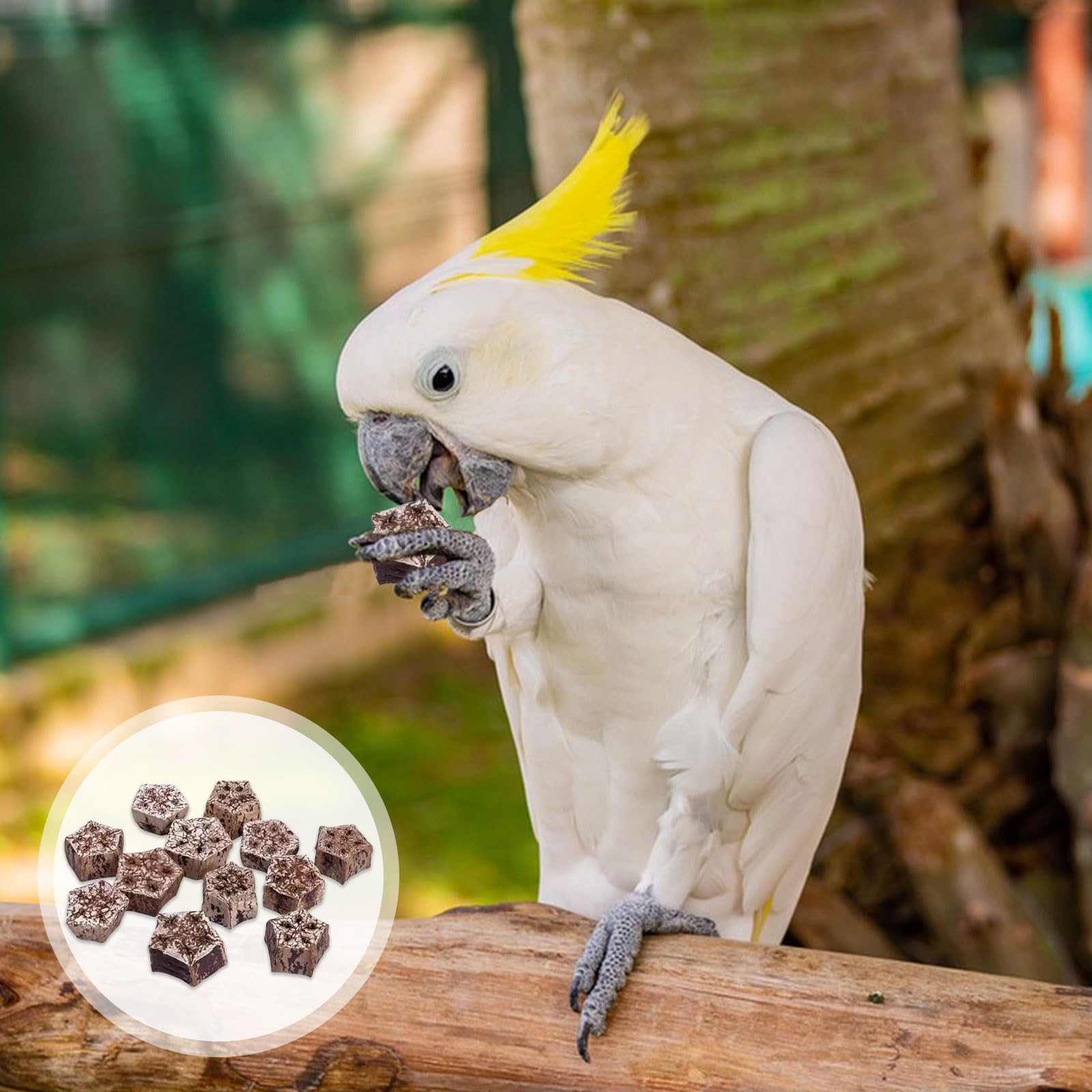 Amazon | 鳥 おもちゃ 24個セット 天然 鳥 噛むおもちゃ ゴレンシ