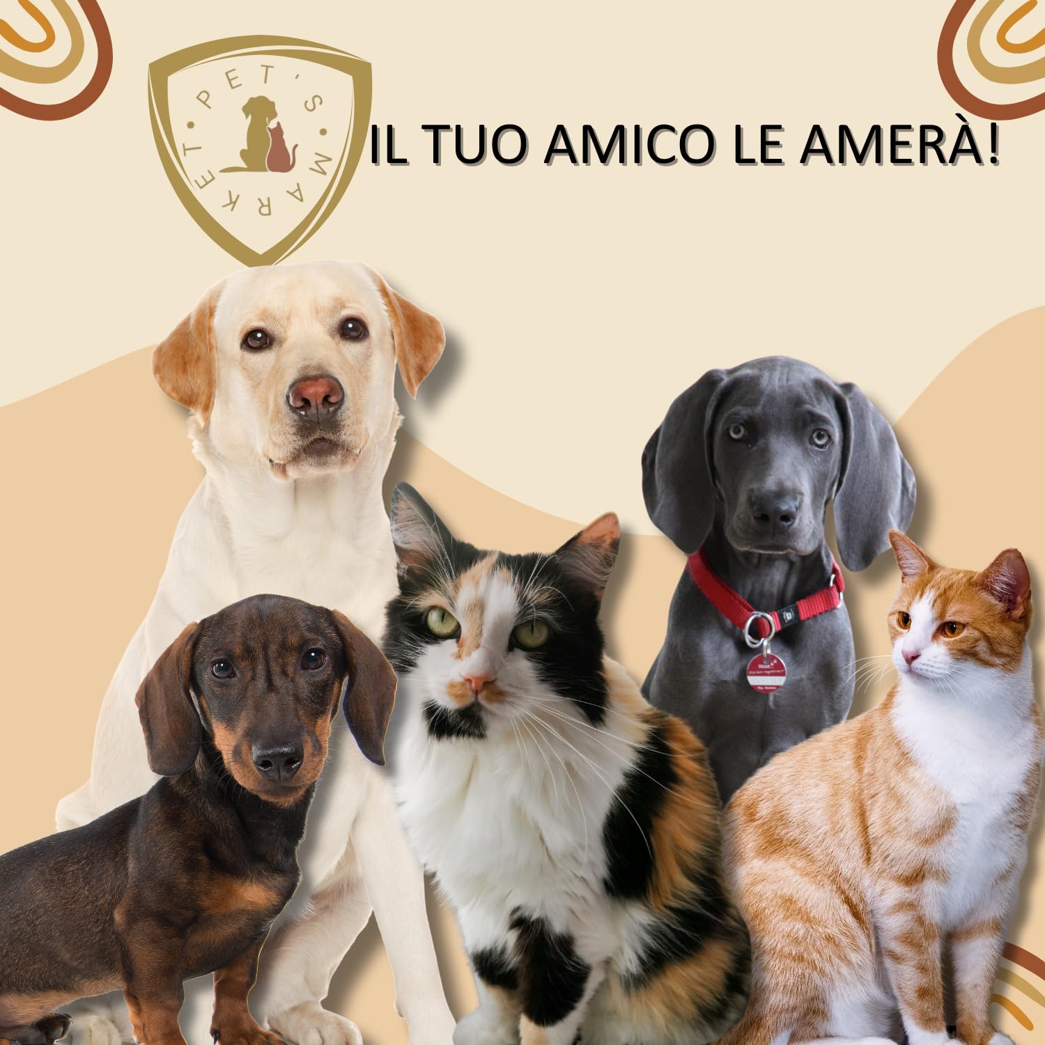 Pet's Market Ciotola Cane Gatto Doppia per la Pappa con Supporto in Legno in Diverse Dimensioni e Colori 2x220 ml 2x380 ml 2x650 ml (2x650 ml Nero)