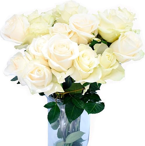 Miniatura 8 de Greenchoice Flowers - Rosas