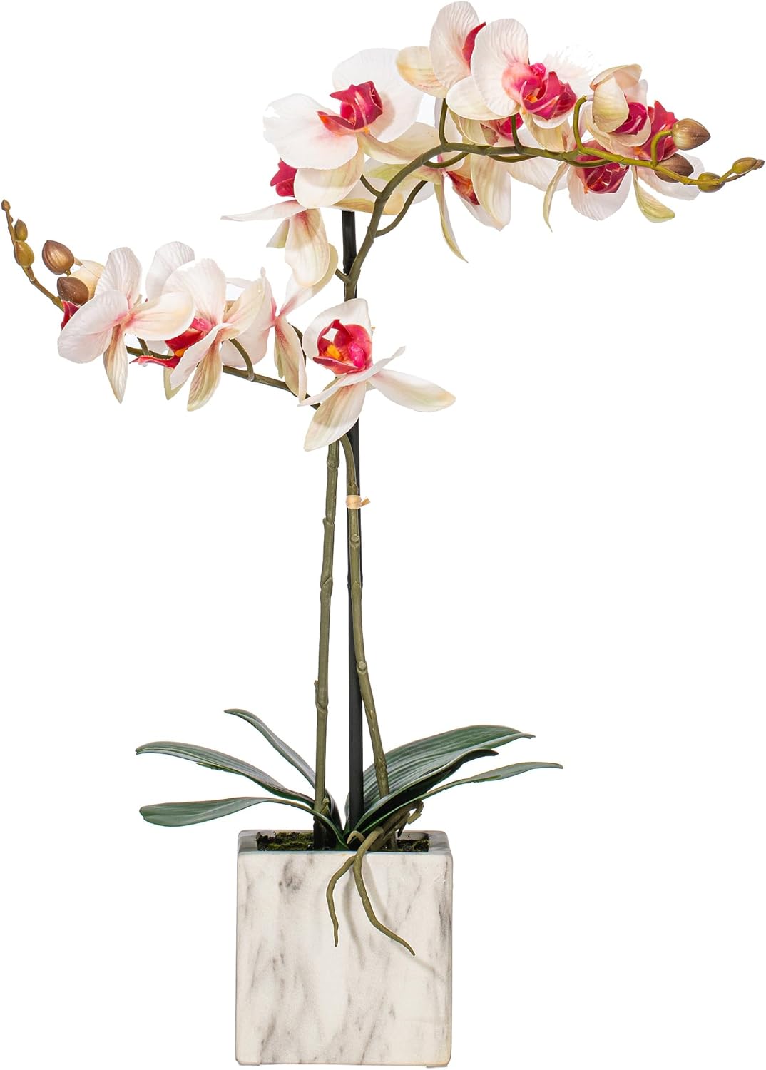 Vickerman Everyday 22" Indoor Artificial Pink and White Phalaenopsis Spray - Real Touch Petals - Decorative Ceramic Pot - Premium Durable Arrangement - Maintenance Free