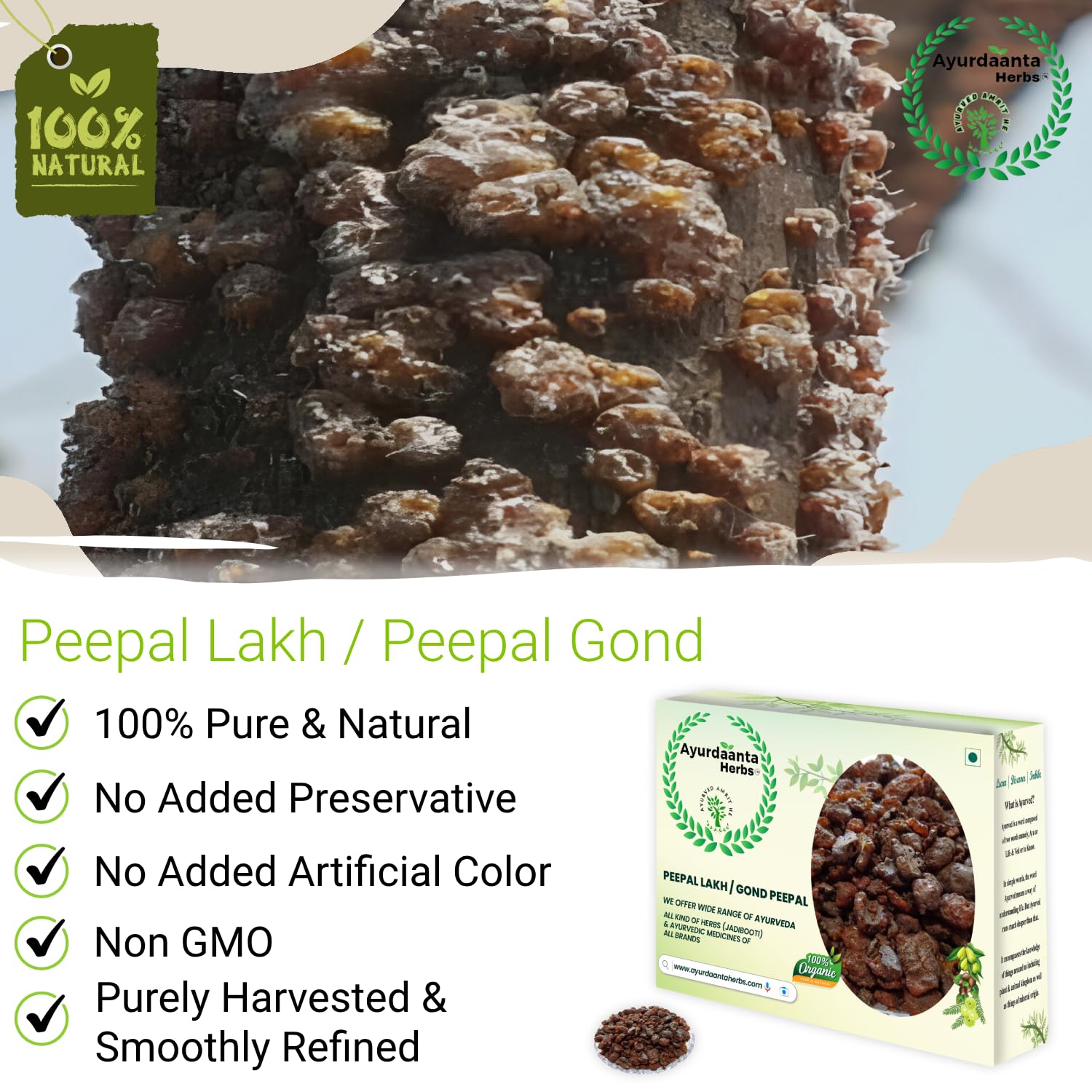 Ayurdaanta Herbs - Peepal Gond/peepal Lakh 100 Gr. Lakh Pipal 100Gr.|Lakh Peepal | Holy Fig Tree | लाख पीपल 100 Gr.| पीपल लाख 100 Gr.| पीपल गोंद 100 Gr | गोंद पीपल 100 Gr 1