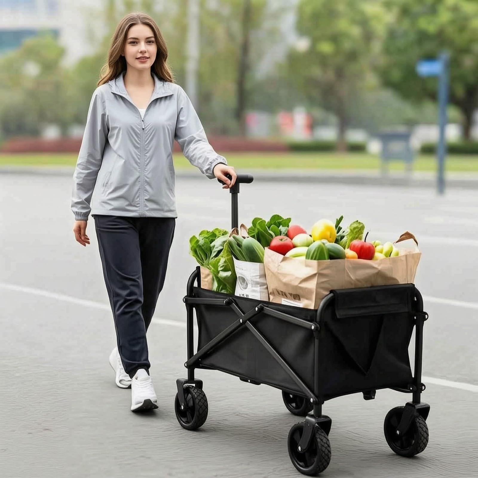 Carrello pieghevole fino a 80 kg, con manico telescopico