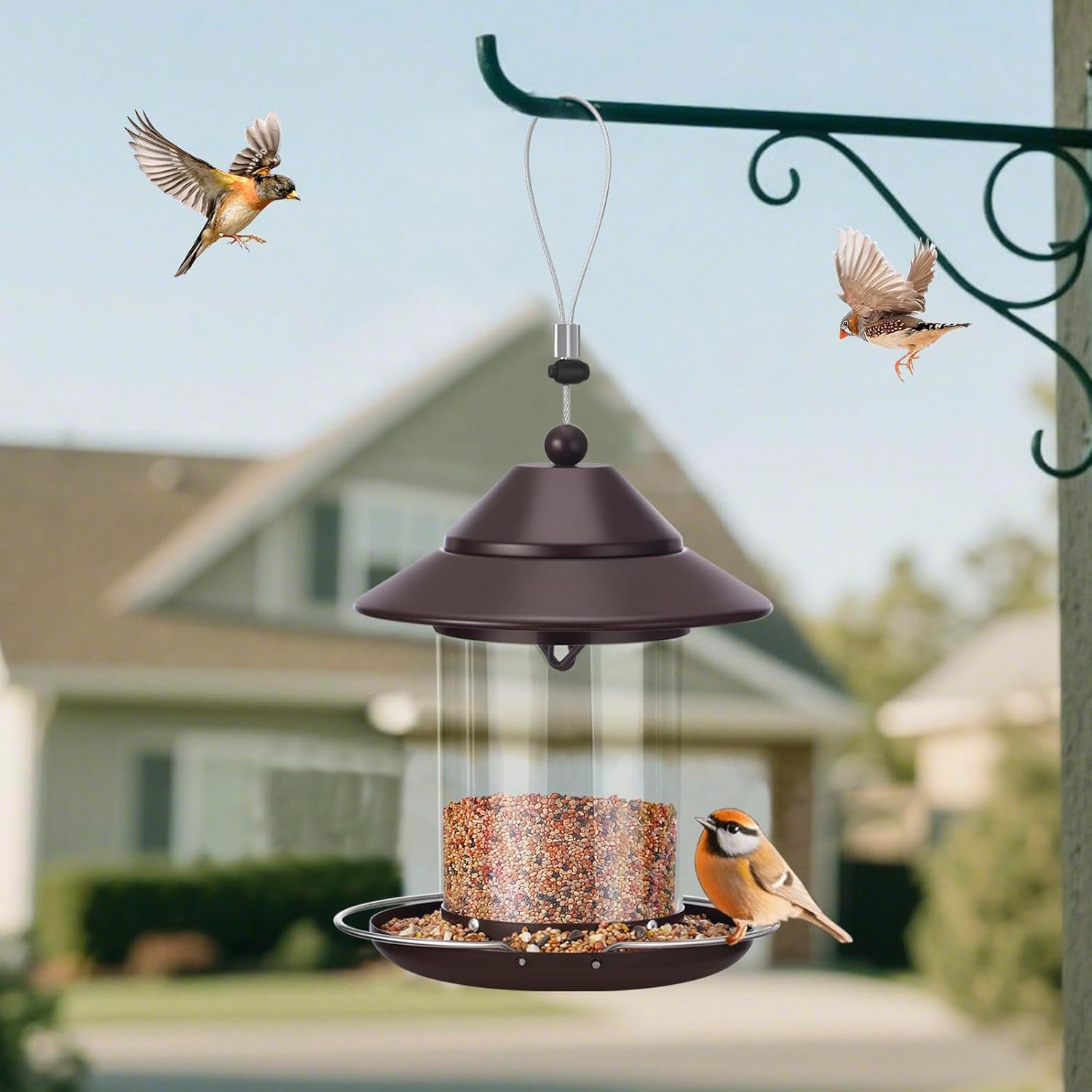 Metal Bird Feeders for Outdoors, Hanging Metal Roof Bird Feeder with 3lb Clear Tube Seed Capacity for Viewing Cardinal Finch, Wild Birdfeeders for Outside Garden Yard Decoration