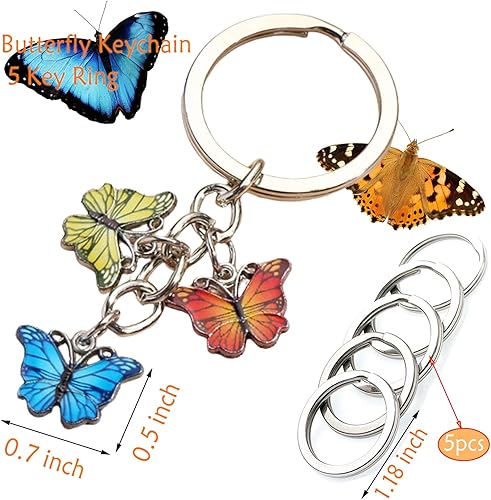 Miniatura 2 de Key Chain for Car Keys, Keychain with 5 Key Ring, Keychain Accessories, MenWomen Birthday Gift Ideas