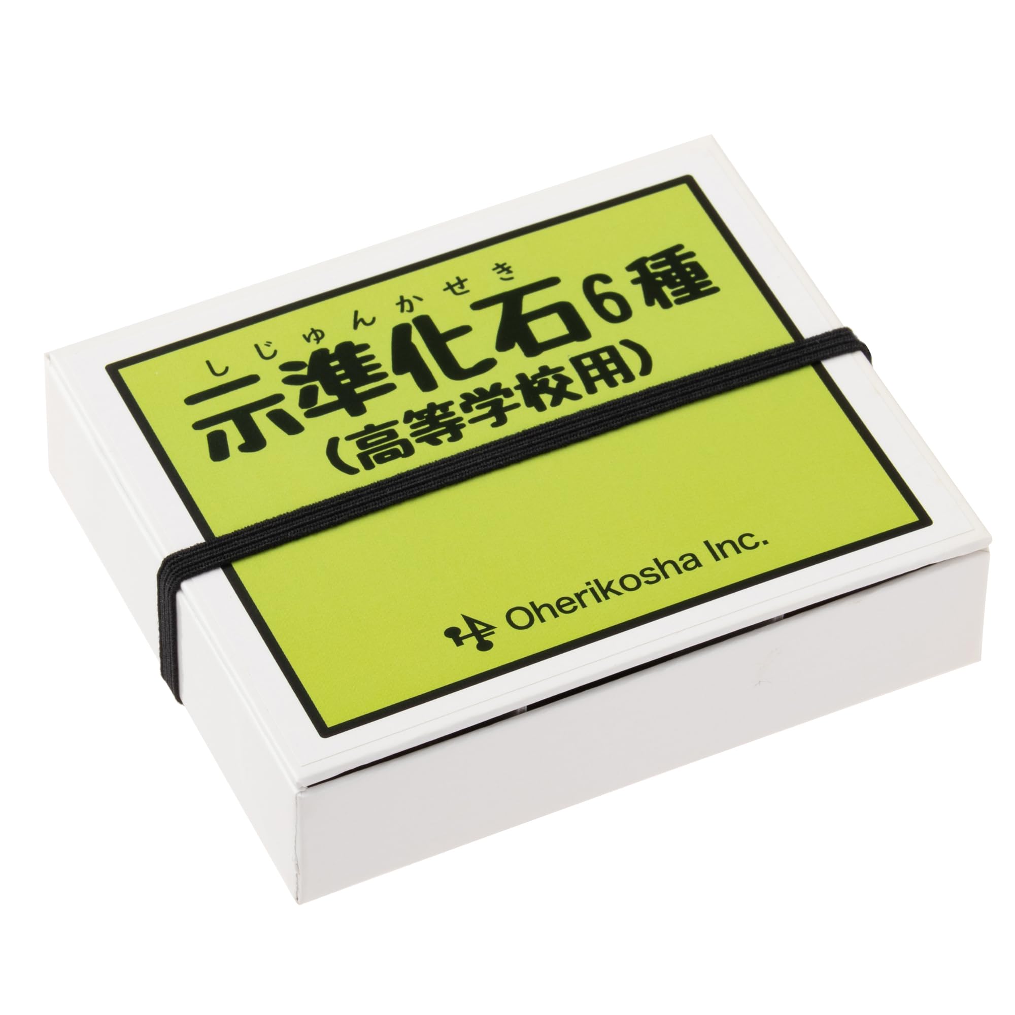 いしちゃん　オサムシ　学術標本 いしちゃん オサムシ 学術標本 Amazon | 大江理工社(Oherikosha