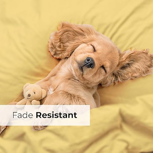 Miniatura 6 de CGK Unlimited - Juego de sábanas para colchones de 21pulgadas