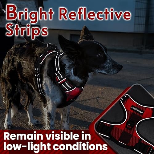 Miniatura 7 de Arnés para perro de rabbitgoo, ajustable, con 2 clips de correa, arnés de chaleco acolchado, cómodo con asa, arnés frontal reflectante para perros
