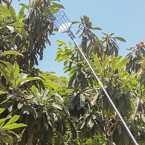 Miniatura 3 de Dispositivo desmontable para recolección de frutas, nueces de pecana, cesta de recogedor de frutas, cabeza de recogedor de frutas, herramienta de