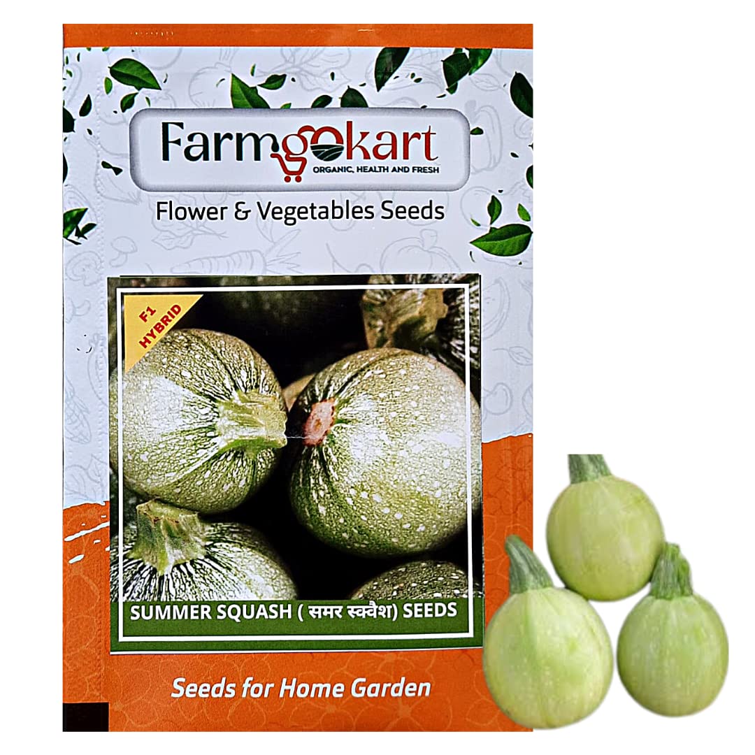 FARMGOKART 5 Gms SUMMER SQUASH SEEDS-HYBRID F1 SEEDS, Vegetable Seeds for Home Gardening, Farming, Hydroponics and Poly Houses (B0BTYNLKC7) Amazon Price History, Amazon Price Tracker