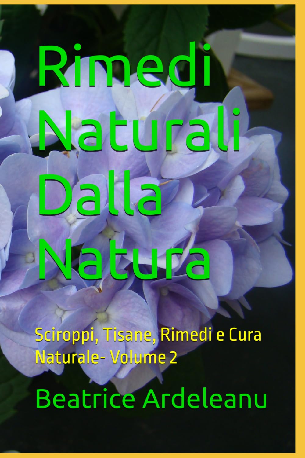 Rimedi Naturali dalla natura: Sciroppi, Tisane, Rimedi e Cura Naturale- Volume 2