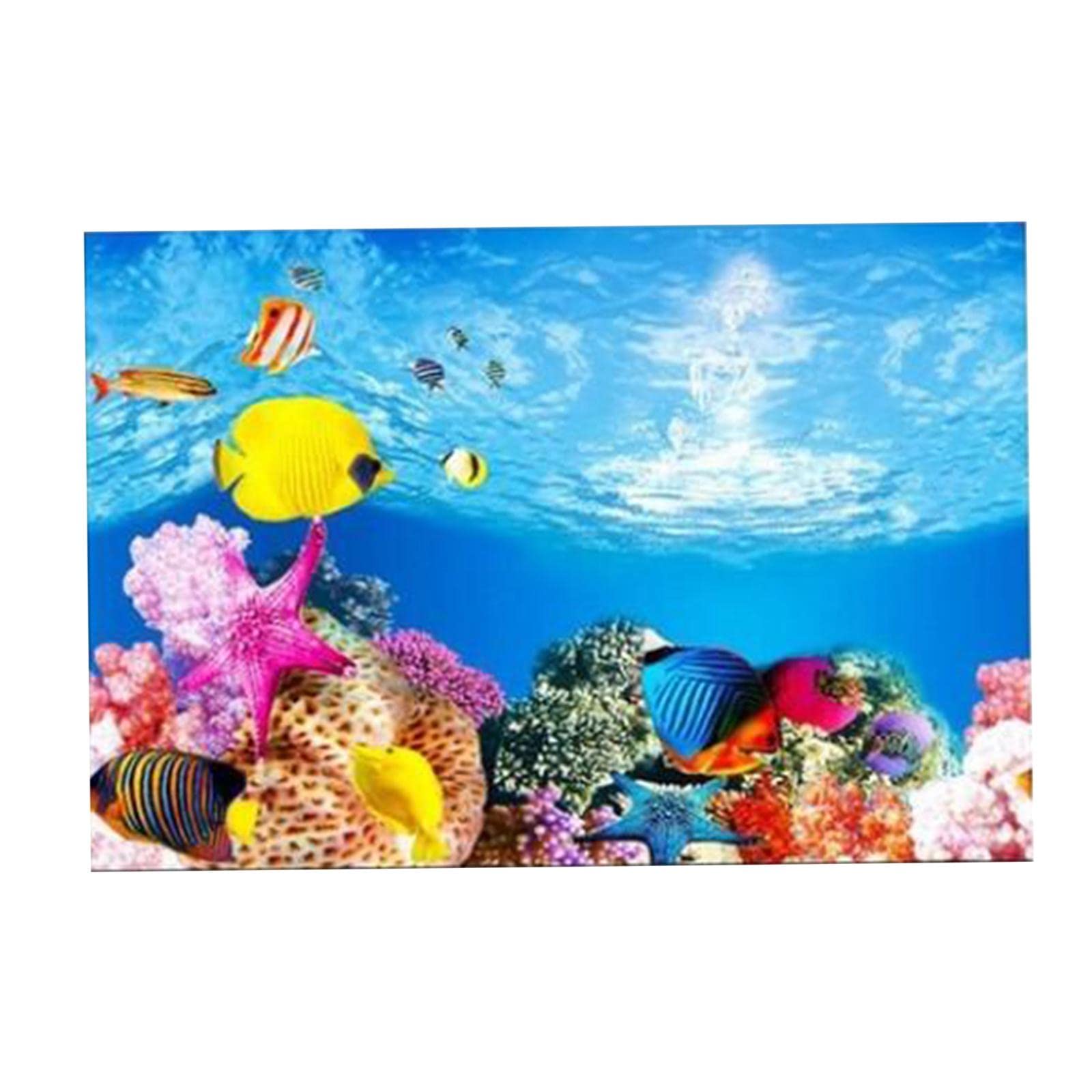 Poster Aquarium Sticker Aquarium Poster Image Décoration PVC Autocollant Doubleface Convient pour Bureau