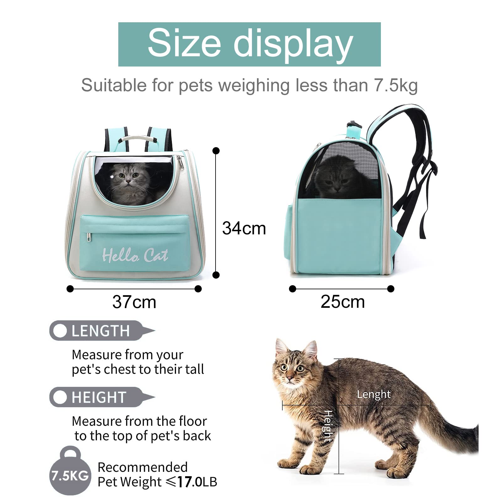 PETCUTE Traspirante Zaino per Cani e Gatti,Zaino Porta Cane Gatto con Cinturino di Sicurezza Interno,Materasso Morbido,Portatile Zaino Per Animali Domestici,Adatto per Viaggiare,Massimo 8kg