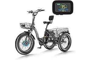 20" Electric Fat Tire Trike: Adventure Made Easy