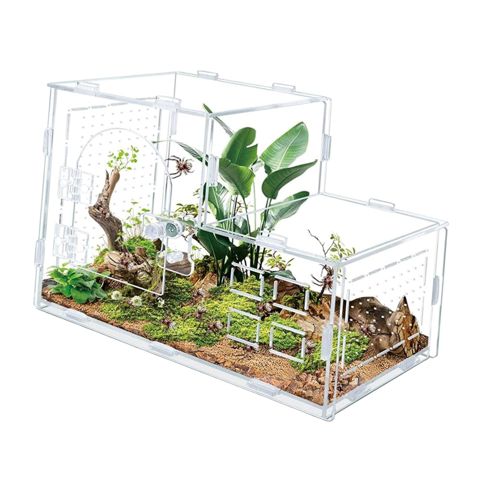 Terrarium pour reptiles anti-évasion avec vision panoramique pour amphibiens
