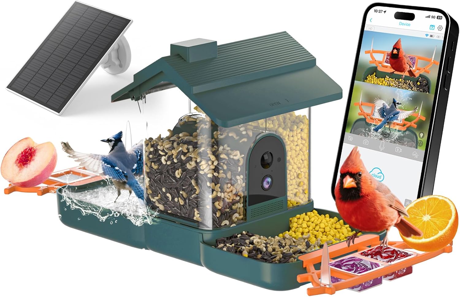 2-in-1 Bird Bath and Bird Feeder with Cameras Solar Powered 2K Dual Cameras Birds Feeder and Bath for Outside Yard Garden, Gift for Dad Mom Kids (Deep Blue + Orange)