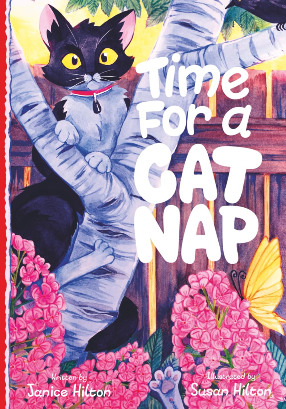 Time for a Catnap
