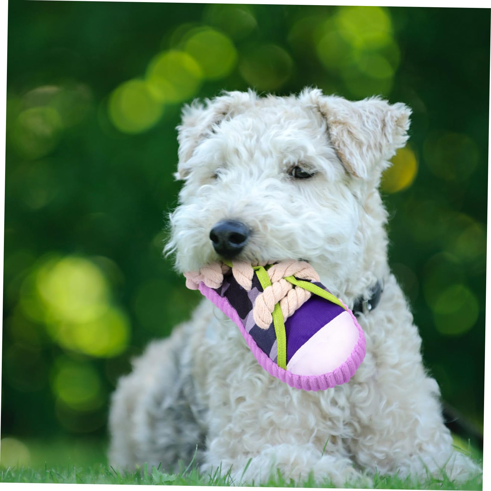DOITOOL Juguetes para Morder Perros Interactivos Sonido, Tiras de Algodón Resistentes, Tamaño Pequeño, Juguete para Cachorros, Estimulación Dental y Diversión para Mascotas Pequeñas
