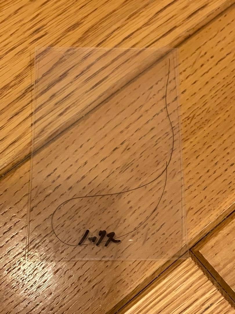 イクイノックス 2022 天皇賞 秋 ミニゼッケン ルメール直筆