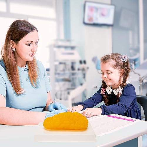 Miniatura 5 de SKUMOD Modelo de grasa corporal humana, réplica de modelo anatómico de grasa de 1 libra para mantenerse saludable, recordatorio de motivación para