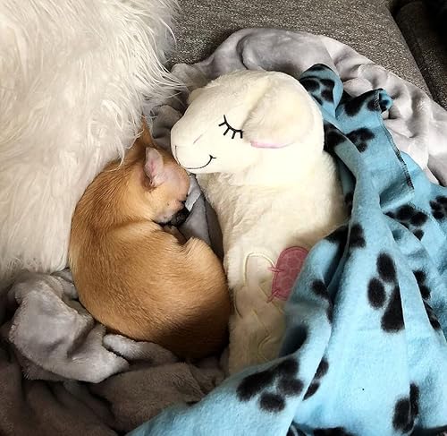 Miniatura 7 de ALL FOR PAWS Juguete de peluche con latido del corazón del cachorro, juguetes de ansiedad para perros relajantes para acurrucarse, ayuda para