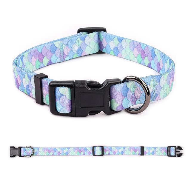 Foto 3 de 5 de COSYHOMELONDON Collar Perro, Ajustable y Resistente con Patrones de Moda