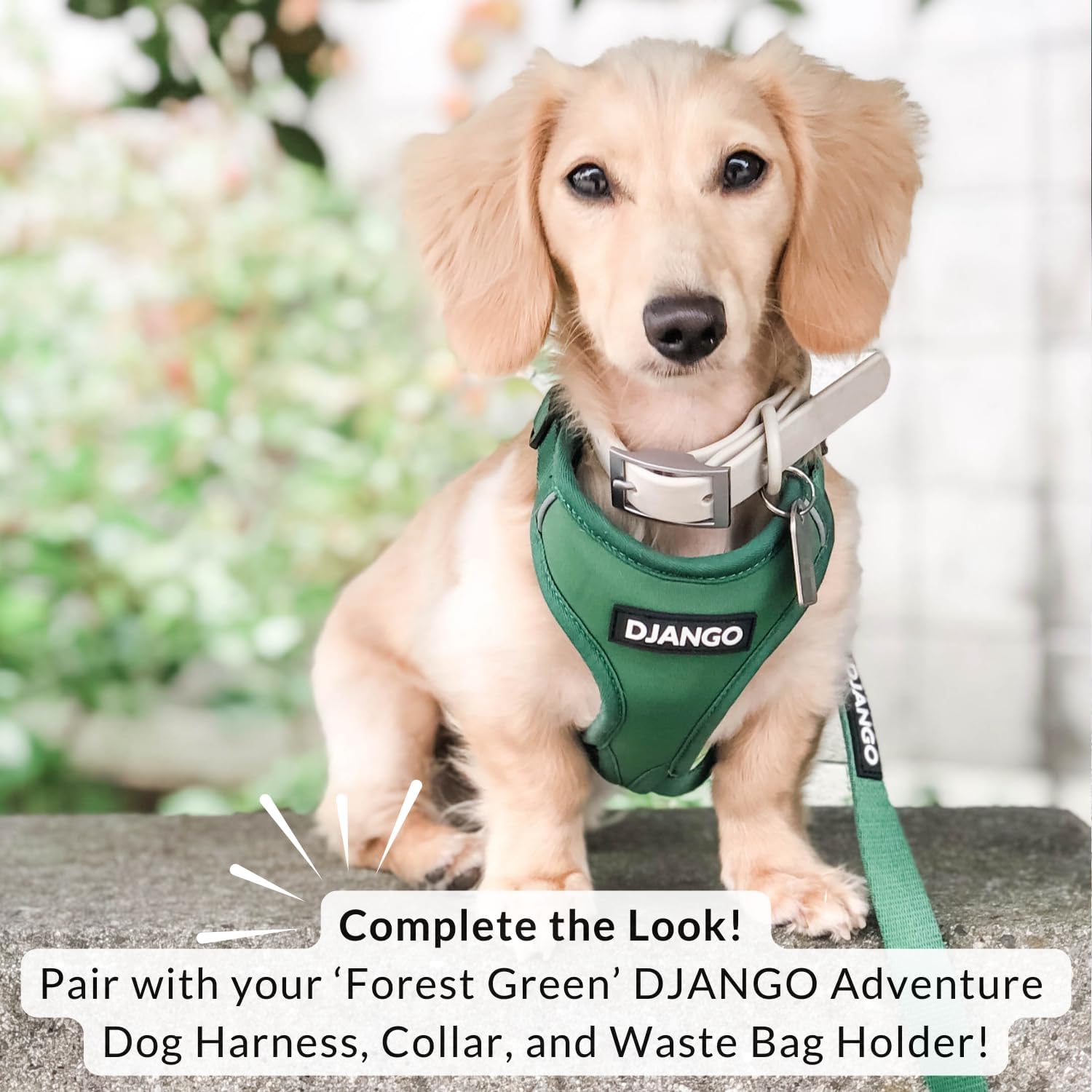 DJANGO Cotton Rope Dog Leash 5ft – Handcrafted Dog Leash and Green Braided Leash for Small, Medium, Large Dogs – Durable 5 Foot Training Lead with Gold Hardware and Whipped Ends – Forest Green Ombre