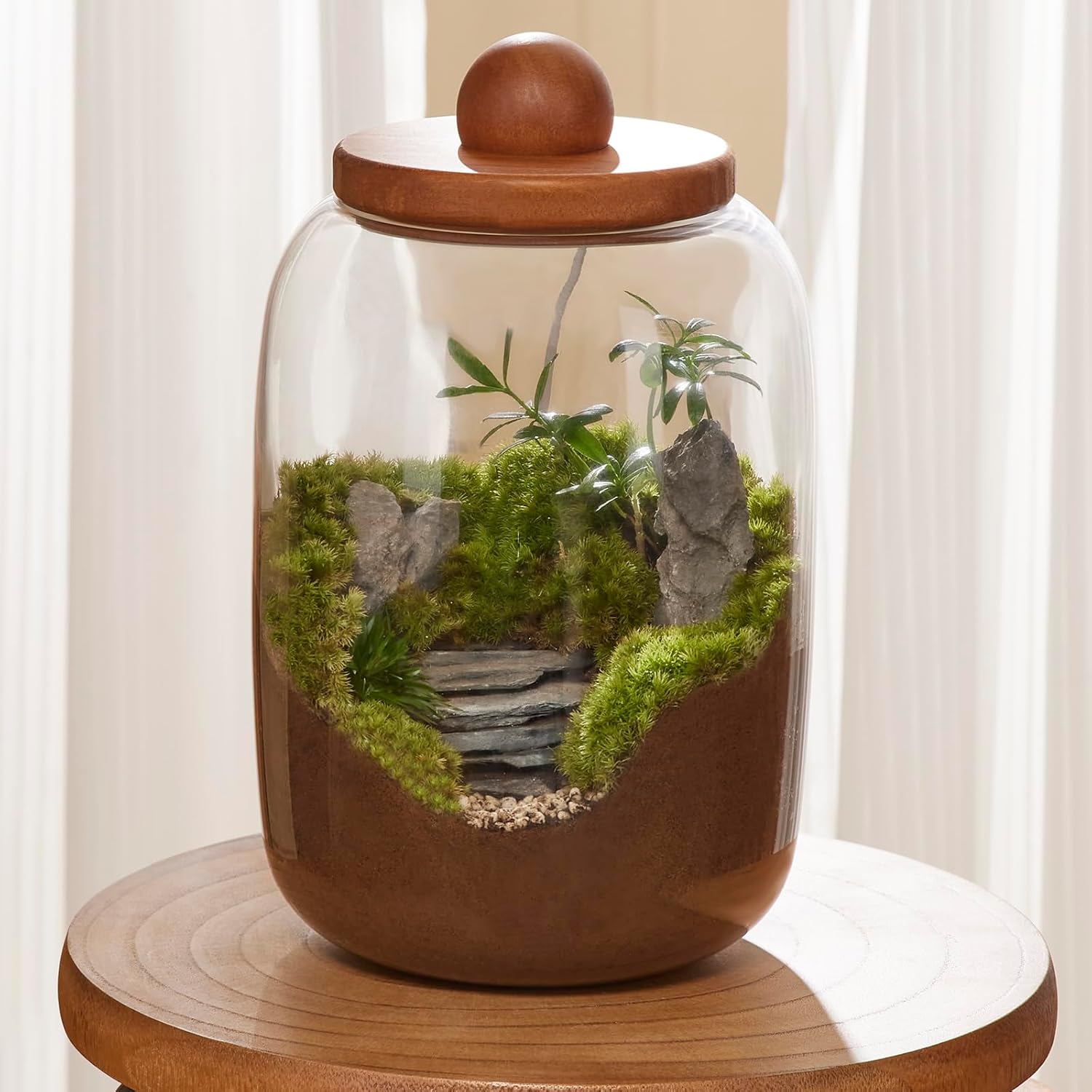 Desktop Glass Terrarium with Time-Controlled Grow Light, H 8.6IN x D 6.3IN Plant Propagation Station and Air Planter for Office and Home