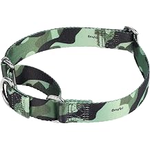 Fabulous Collar with Dogs Who Escape - Hyhug Pets Upgraded Escape Proof Martingale Collar for Dogs Daily Use Walking and Training Medium, Camo