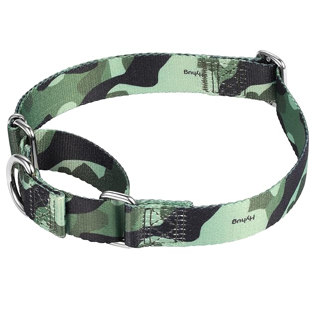 Foto 5 de 8 de Hyhug Diseño, Martingale Klassische Halsbänder, Anti-Flucht Hundehalsband. Komfortabel Verstellbar