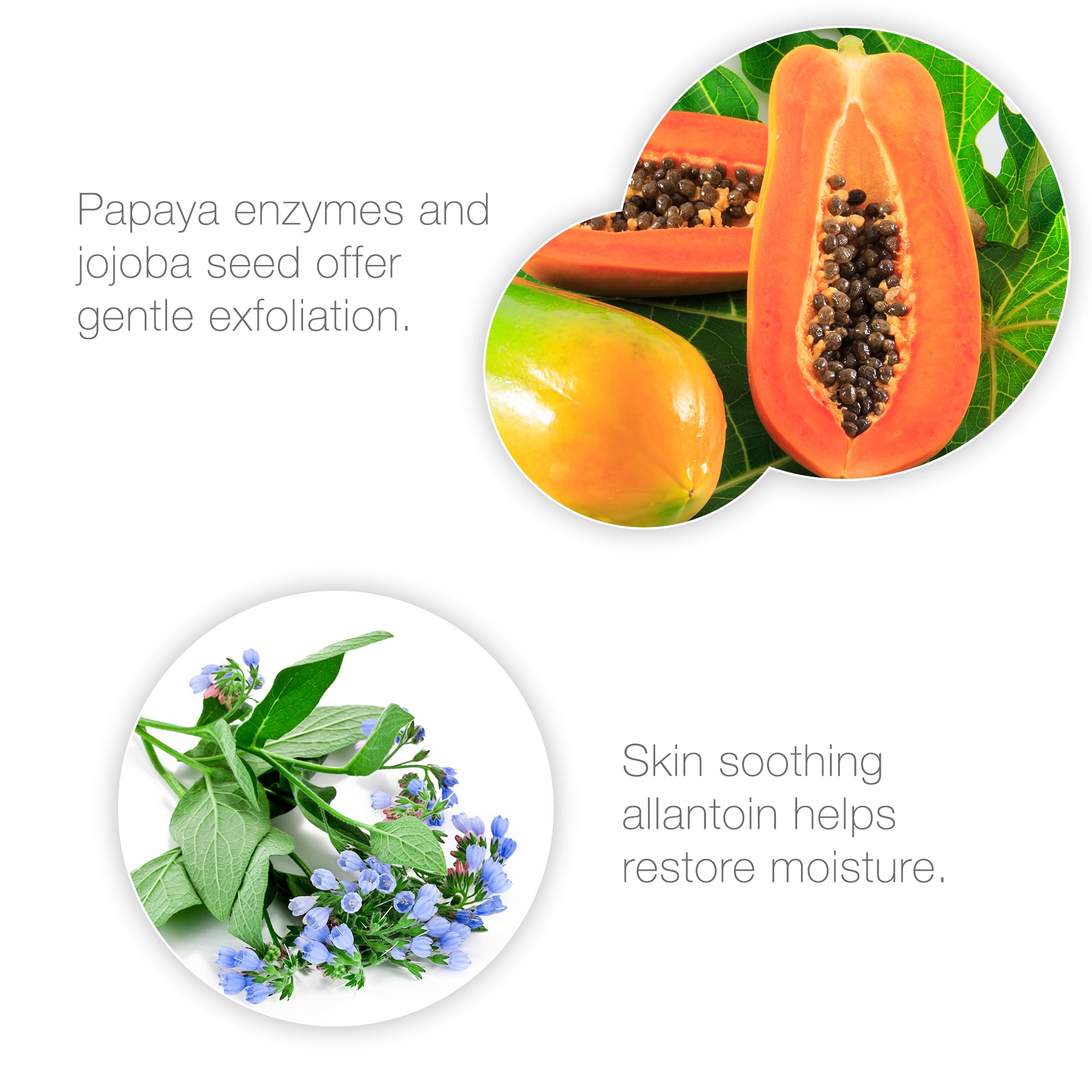 Bio-Therapeutic Exfoliate, Gentle Skin Polishing Gel, Smoothing, Refreshing with Papaya and Orange Oil, Allantoin, Daily Use