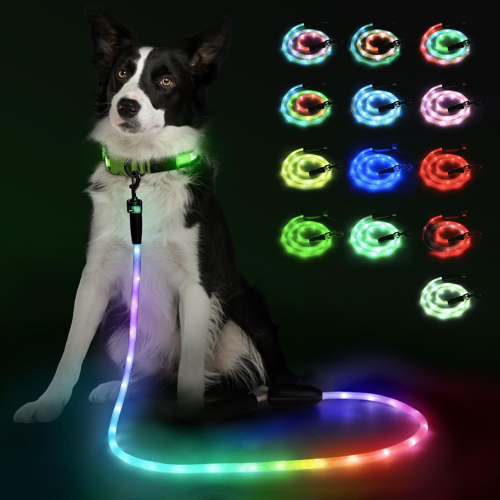 YFbrite 6FT Light up Dog Leash